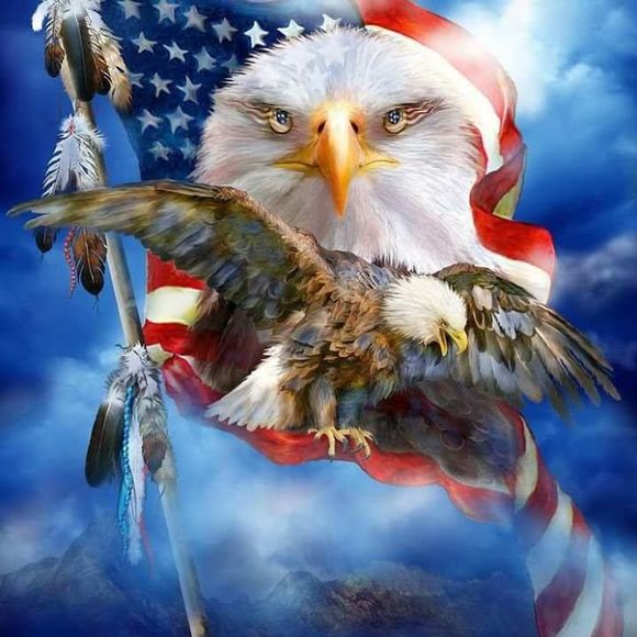 Meet your Posher, Bradley - Picture 1 of 1